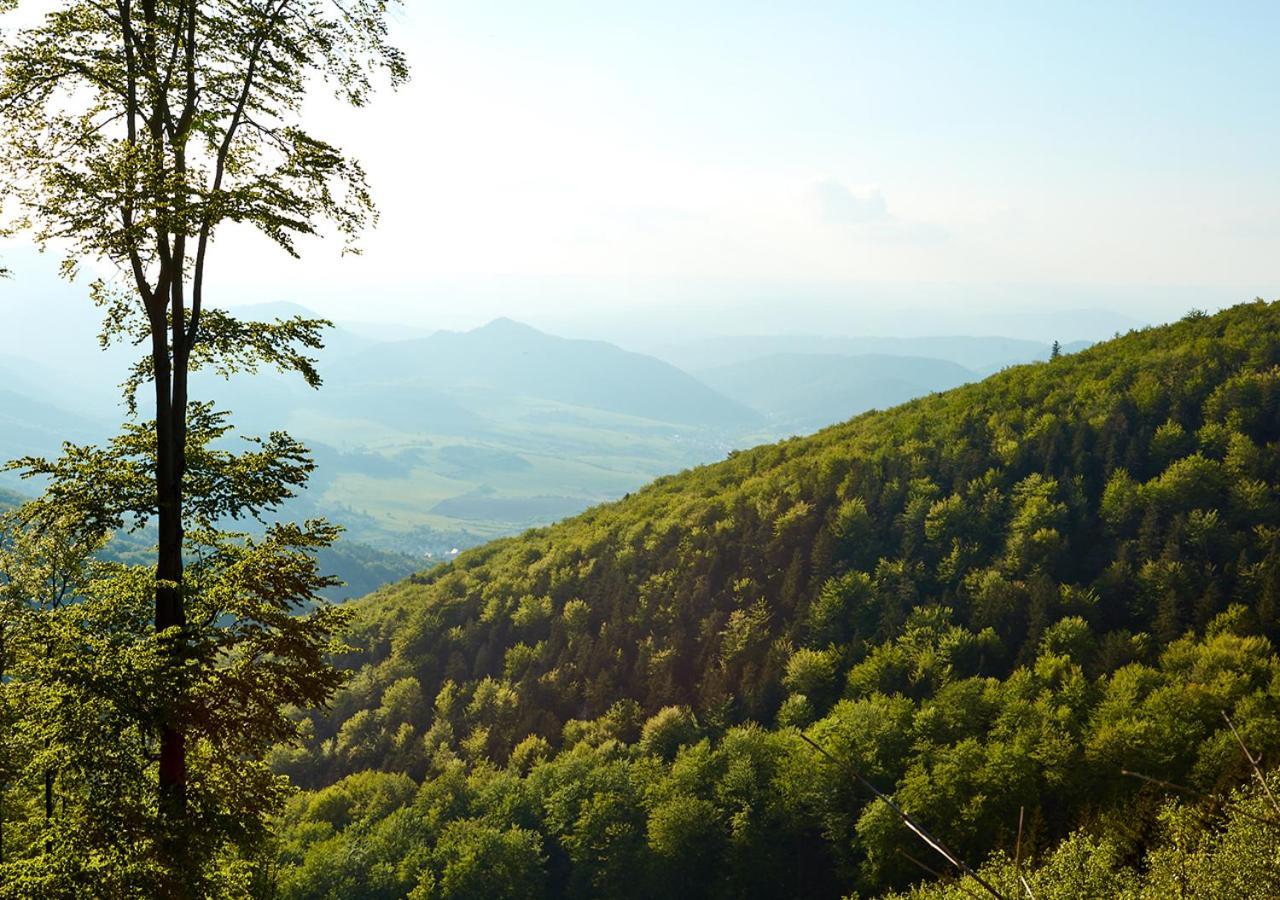 Penzion Pod Strazovom Pruzina Esterno foto