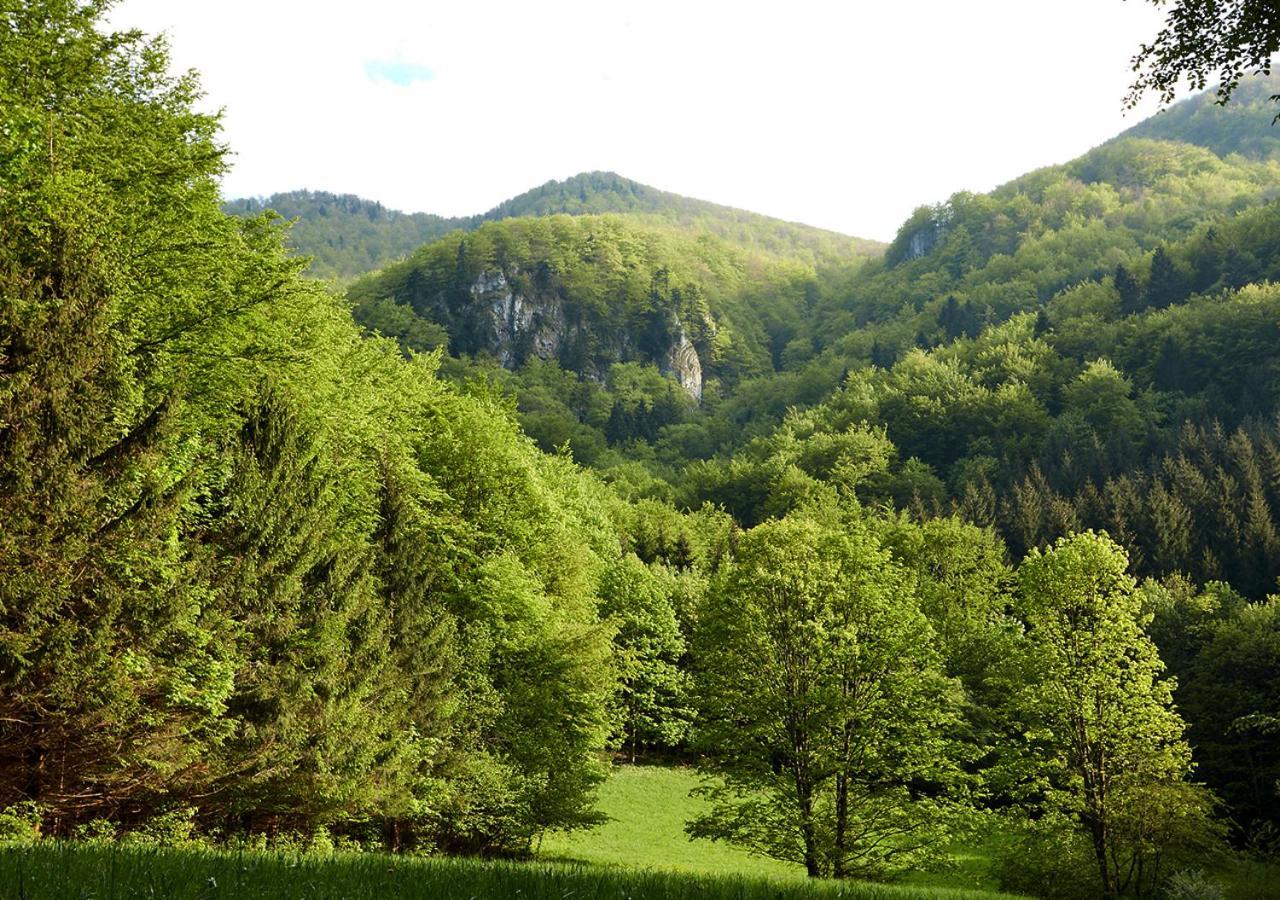 Penzion Pod Strazovom Pruzina Esterno foto